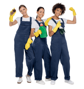 Team of professional cleaners